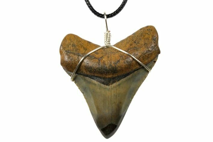 Fossil Megalodon Tooth Necklace #130983
